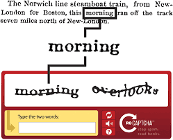 Rolling your own ASP.Net MVC reCAPTCHA Helper
