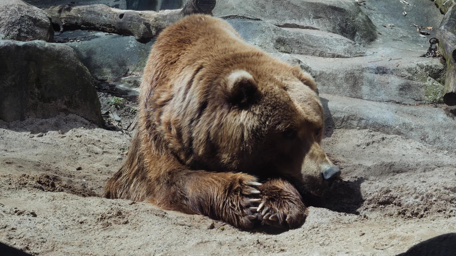 VB.Net adventures in NHibernate